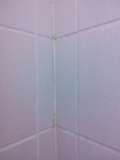 Sanitärfugen